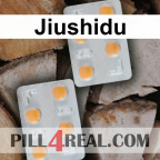 Jiushidu 308
