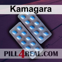 Kamagara 049