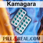 Kamagara 207