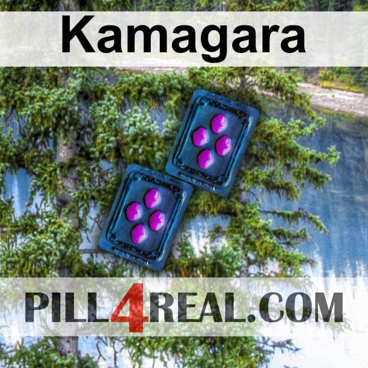 Kamagara 262