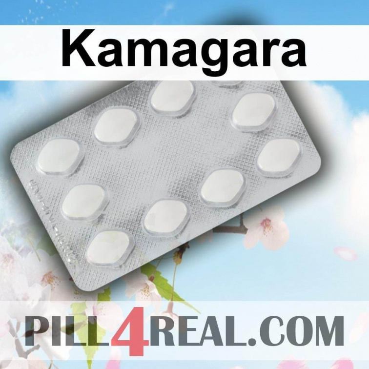Kamagara 313