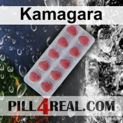 Kamagara 391