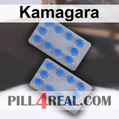 Kamagara 441