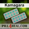 Kamagara 477