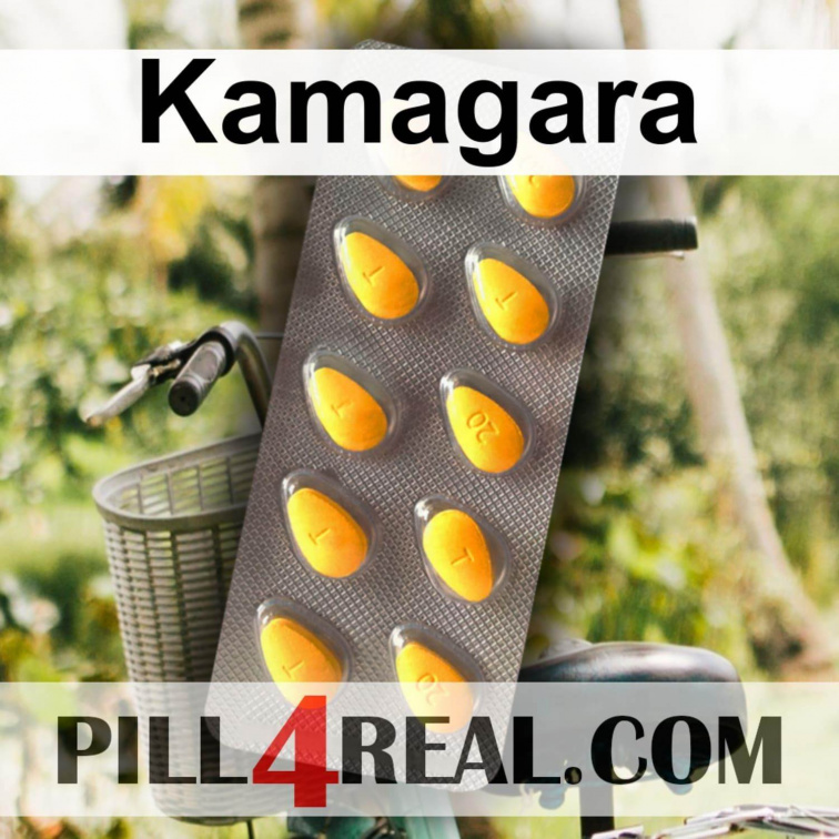 Kamagara 509