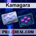 Kamagara 596