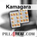 Kamagara 880