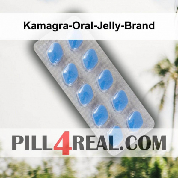 Kamagra-Oral-Jelly-Brand 666