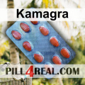 Kamagra 003
