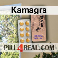 Kamagra 162
