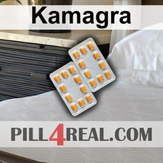 Kamagra 301