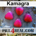 Kamagra 452