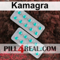 Kamagra 761