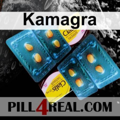 Kamagra 833