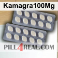 Kamagra100Mg 045