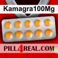 Kamagra100Mg 066