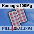 Kamagra100Mg 076