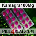 Kamagra100Mg 336