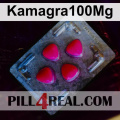 Kamagra100Mg 417