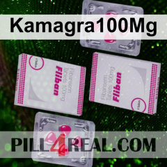 Kamagra100Mg 453