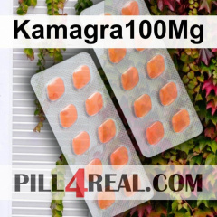 Kamagra100Mg 477