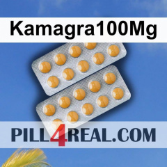 Kamagra100Mg 504
