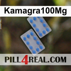 Kamagra100Mg 508