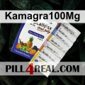 Kamagra100Mg 532