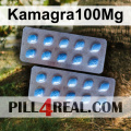 Kamagra100Mg 553