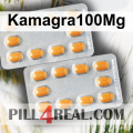 Kamagra100Mg 834