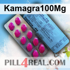 Kamagra100Mg 880