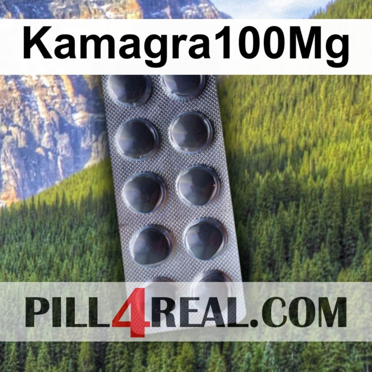 Kamagra100Mg 902