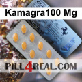 Kamagra100 Mg 148