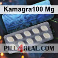 Kamagra100 Mg 229