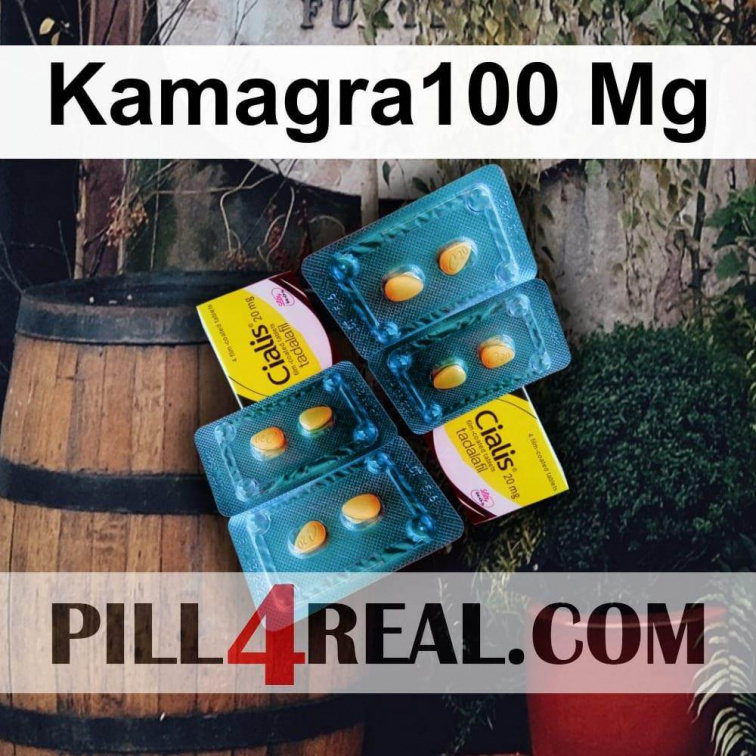 Kamagra100 Mg 285