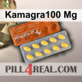 Kamagra100 Mg 295