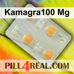 Kamagra100 Mg 312