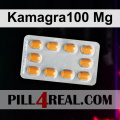 Kamagra100 Mg 960