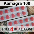 Kamagra 100 004
