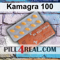 Kamagra 100 024