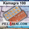 Kamagra 100 024
