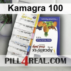 Kamagra 100 081