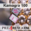 Kamagra 100 382