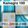 Kamagra 100 460