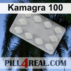 Kamagra 100 487