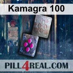 Kamagra 100 488