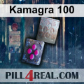 Kamagra 100 488