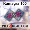 Kamagra 100 490
