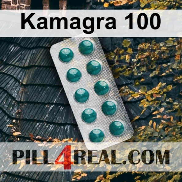 Kamagra 100 520