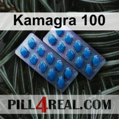 Kamagra 100 611
